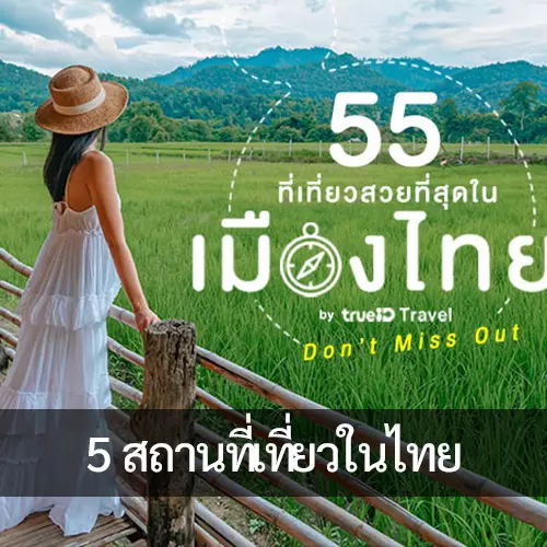 จุดหมายปลายทางยอดนิยมในประเทศไทย: สำรวจดินแดนแห่งรอยยิ้ม