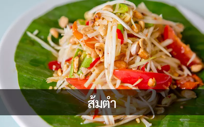 คัมภีร์ ส้มตำ เรื่องไม่ลับที่นักกินต้องรู้ พร้อมสูตรและวิธีทำแบบจัดเต็ม